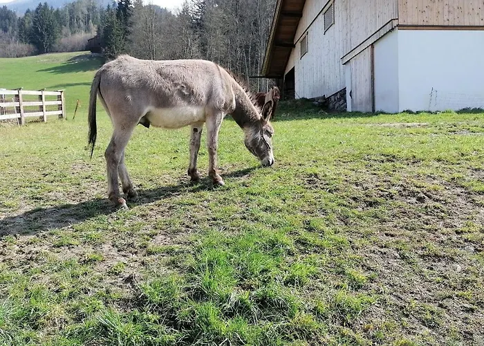 Сasa de vacaciones On An Organic Farm In *