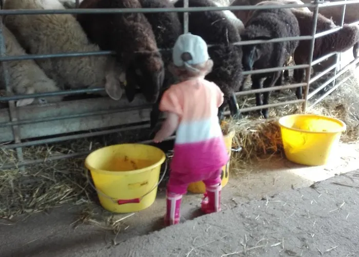 On An Organic Farm In *