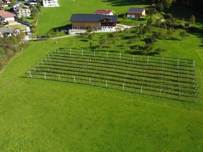 On An Organic Farm In *