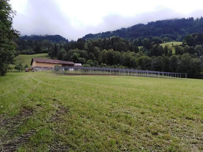 On An Organic Farm In Hart im Zillertal