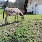 Semesterbostad On An Organic Farm In *