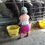 On An Organic Farm In *