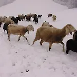 On An Organic Farm In Feriehus
