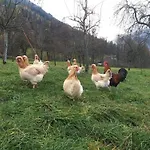 Semesterbostad On An Organic Farm In Hart im Zillertal