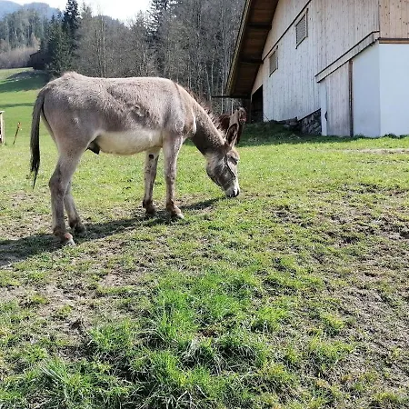 度假居 On An Organic Farm In *