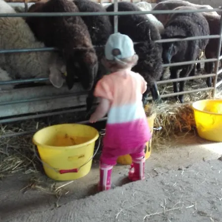 On An Organic Farm In *