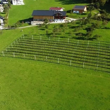 On An Organic Farm In *