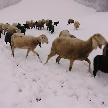 On An Organic Farm In Dom wakacyjny