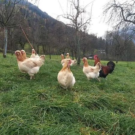 On An Organic Farm In Tatil Evi Hart im Zillertal