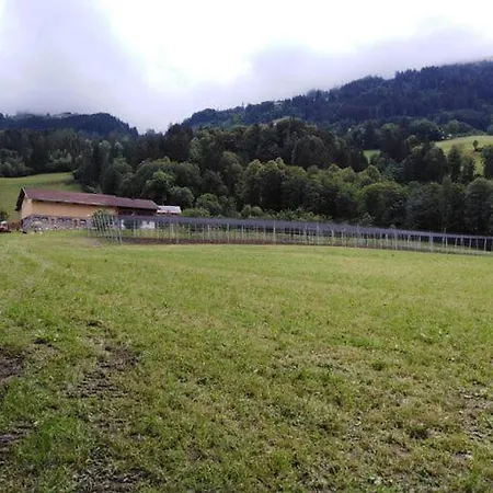 On An Organic Farm In Hart im Zillertal