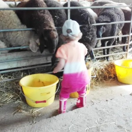 On An Organic Farm In
