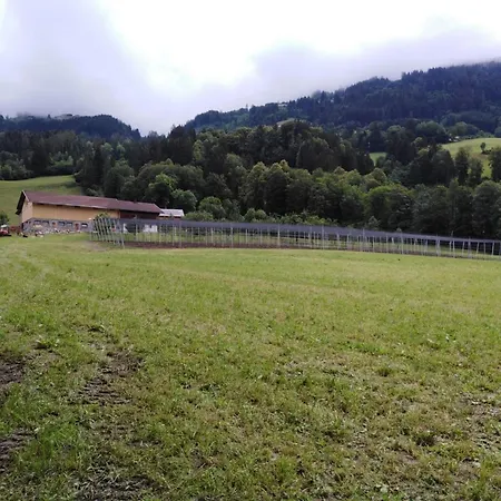 On An Organic Farm In Tatil Evi